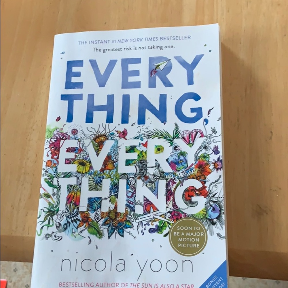 Everything Everything book